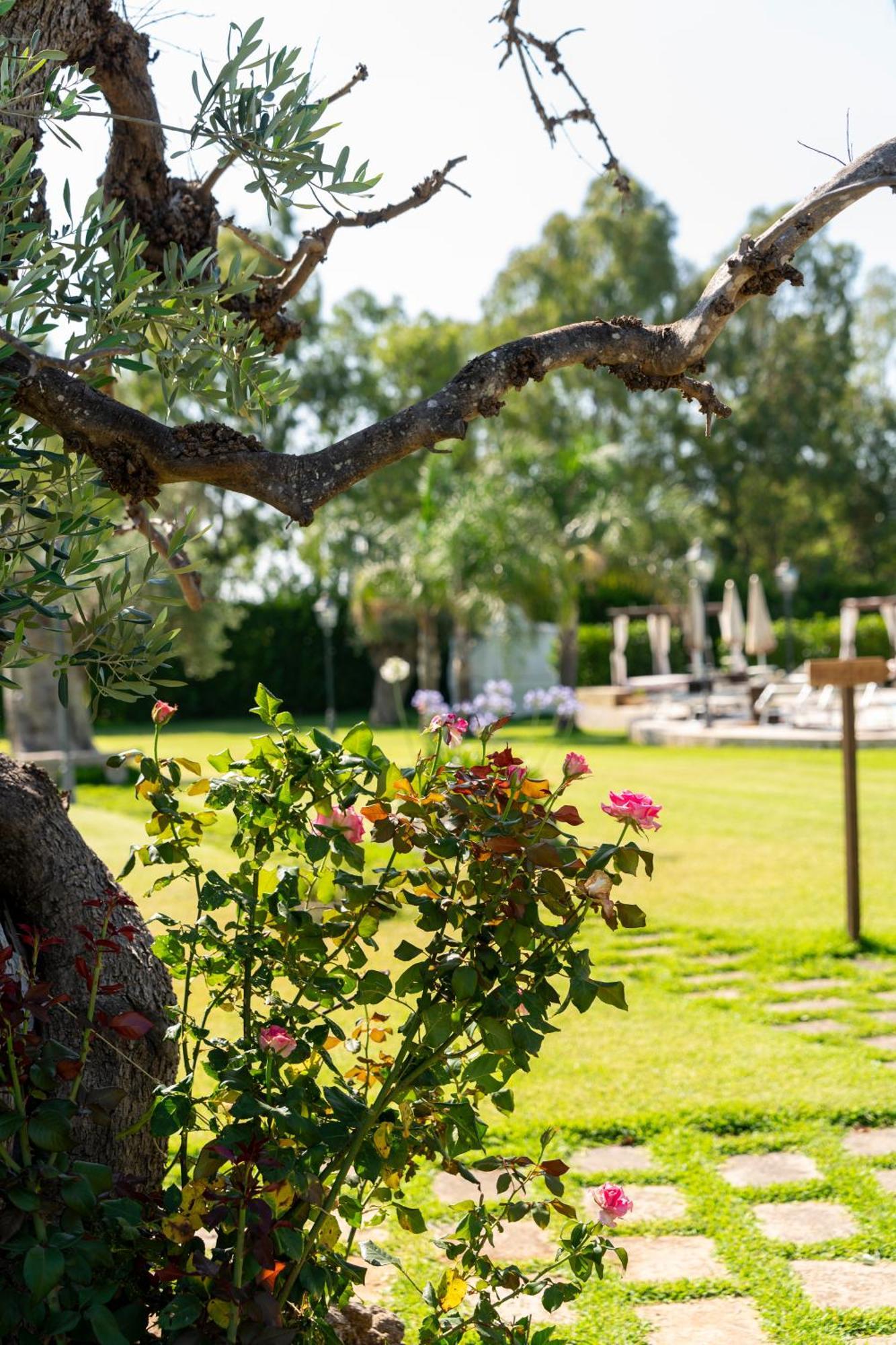 Masseria Giamarra Carpignano Salentino Exterior foto